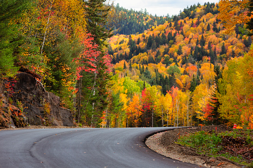 The beautiful autumn colors seen on the road in  La Mauricie National Park.