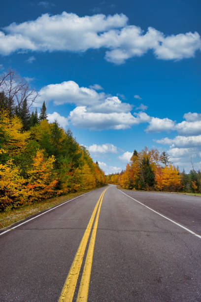 istock Fall colors in La Mauricie National Park. 1340284212