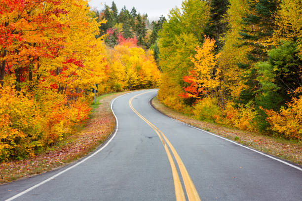 istock Fall colors in La Mauricie National Park. 1340284227