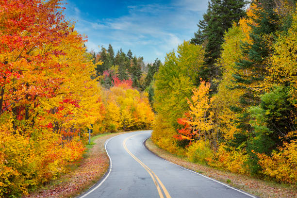 istock Fall colors in La Mauricie National Park. 1340284230
