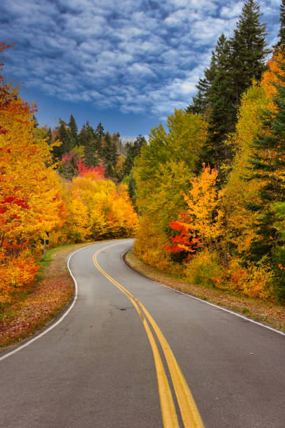 istock Fall colors in La Mauricie National Park. 1340284231