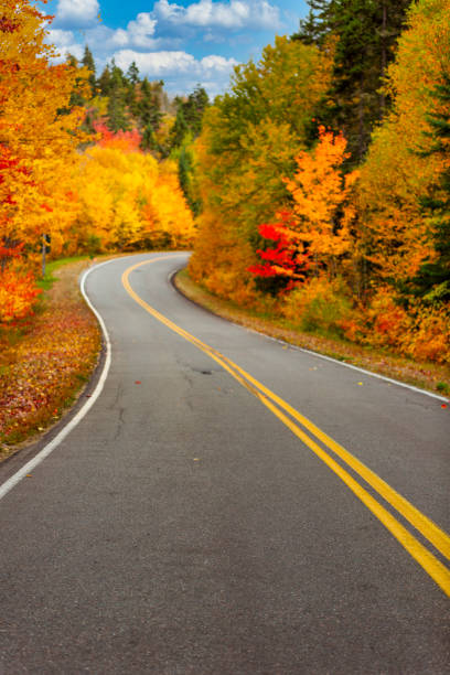 istock Fall colors in La Mauricie National Park. 1340284241