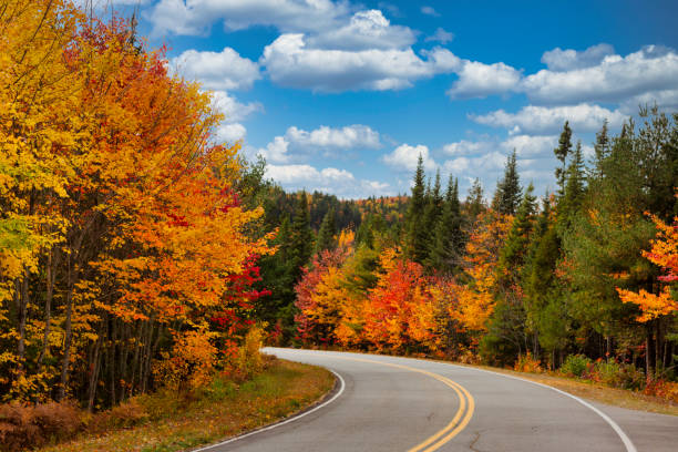 istock Fall colors in La Mauricie National Park. 1340284248