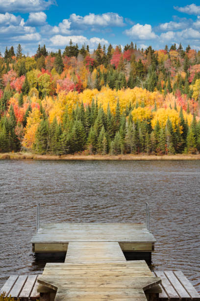 istock Fall colors in La Mauricie National Park. 1340284277