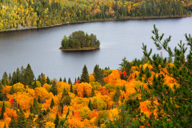 istock Fall colors in La Mauricie National Park. 1340284293