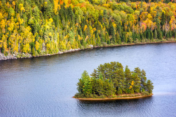 istock Fall colors in La Mauricie National Park. 1340284314