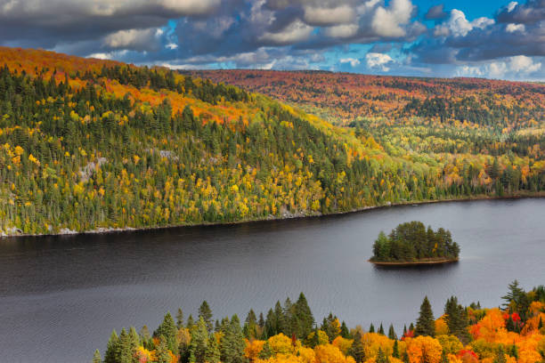 istock Fall colors in La Mauricie National Park. 1340284315