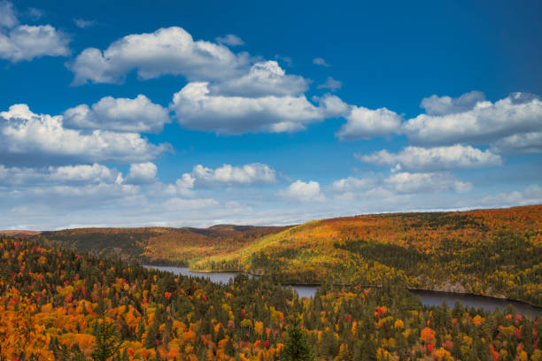 The beautiful autumn colors with Wapizagonke lake in the background.