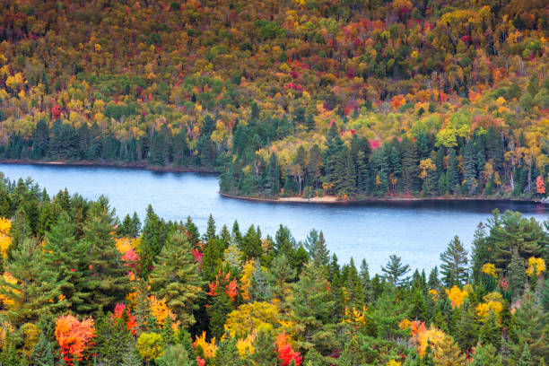 istock Fall colors in La Mauricie National Park. 1340284345