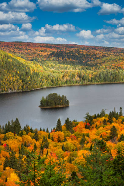 istock Fall colors in La Mauricie National Park. 1340284351