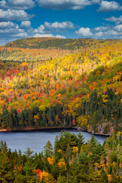 The beautiful autumn colors with a view at Wapizagonke lake.