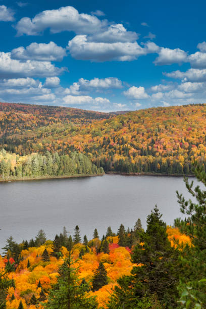 istock Fall colors in La Mauricie National Park. 1340284379