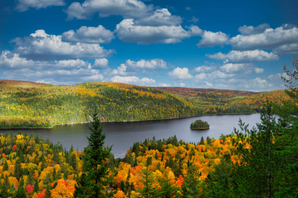 herbstfarben im nationalpark la mauricie. - laurentian moutains stock-fotos und bilder