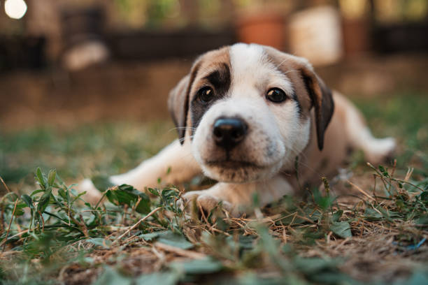 istock Wanna be my friend? 1340284910