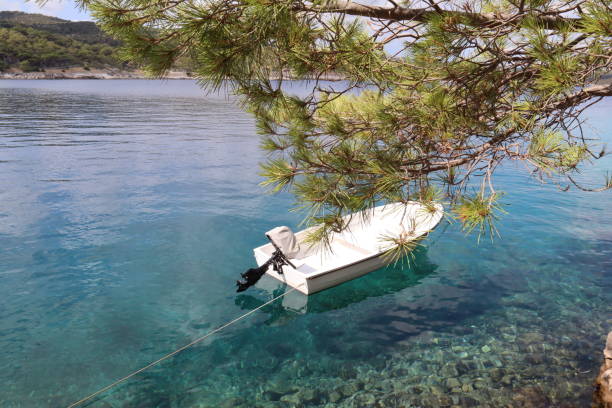 white motor boat against the background of the blue transparent water of the adriatic sea in a picturesque bay overgrown with green pine trees on an autumn sunny day - rowboat nautical vessel small motorboat imagens e fotografias de stock