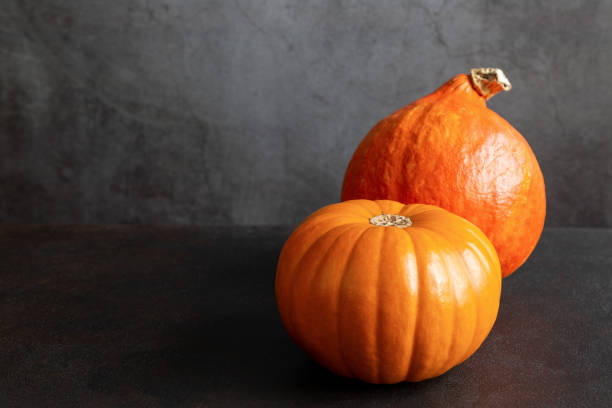 istock Two ripe whole orange pumpkins of different grades on black background with copy space. 1340286499