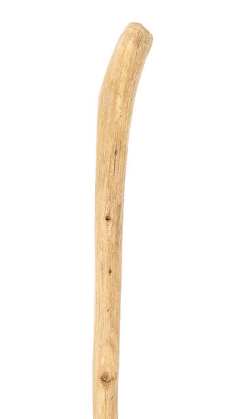 istock Part of driftwood isolated on white 1340290678