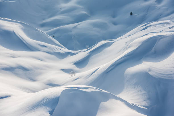 istock Nature covered with layer of snow, snowdrifts blown by wind 1340290893
