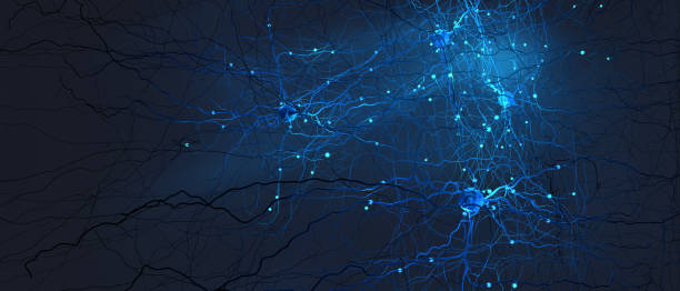 neurone o cellula nervosa che trasmette il segnale - illustrazione 3d - neuroscienza foto e immagini stock