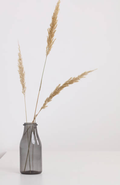 istock Vase with dry flowers on white table. Minimalist style home interior decoration.Simplicity and Elegance concept. 1340292649