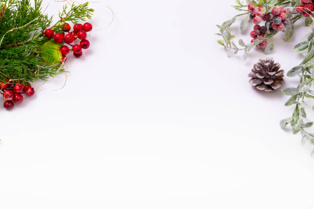 istock Composition of tree branches with pine cones and copy space on white background 1340292883
