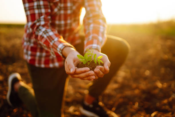 istock Male hands touching soil on the field. 1340293087