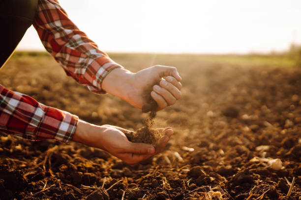 istock Male hands touching soil on the field. 1340293095