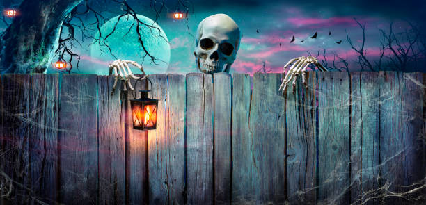 Halloween - Skeleton Holding Lantern On Wooden Banner In Night stock photo