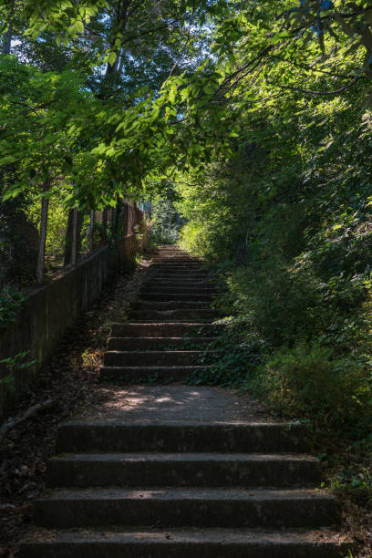 istock Staircase between an old fence and overgrown bushes. 1340298299