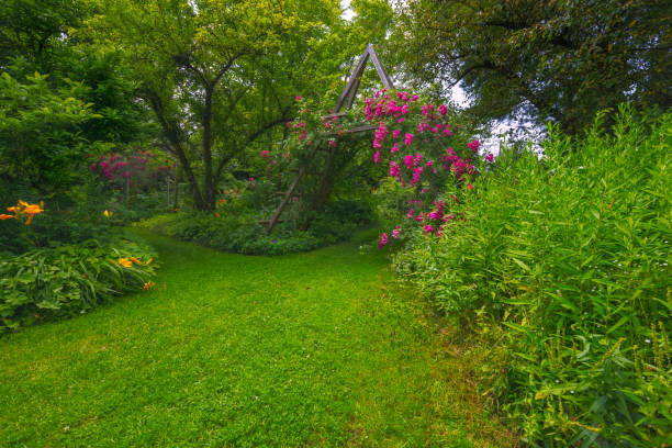 istock Idyllic rose garden 1340299889