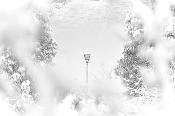 Lamppost in the snowfall Filomena