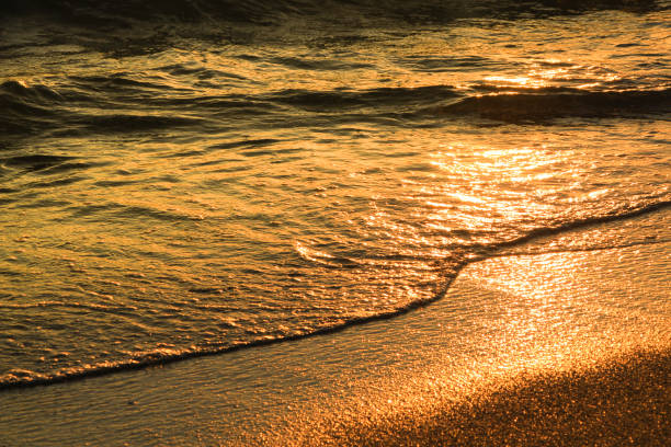 istock Waves and sand texture on the beach at sunset 1340305724