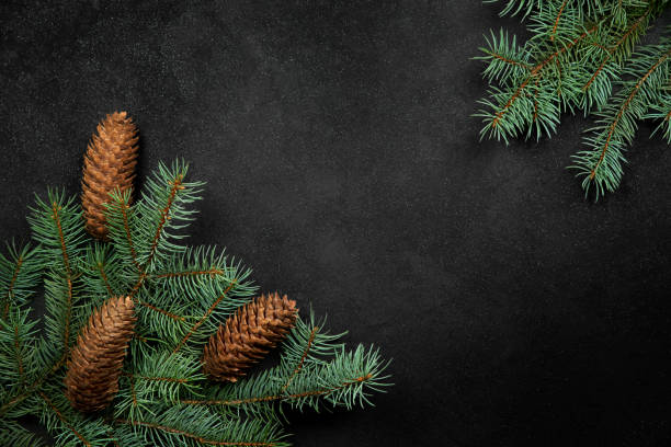 istock Branches of blue spruce and cones on a black textured background. Christmas composition. 1340306538