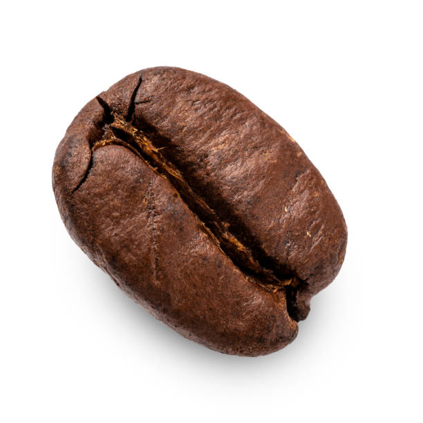 istock Delicious fresh roasted Coffee Bean 1340308123