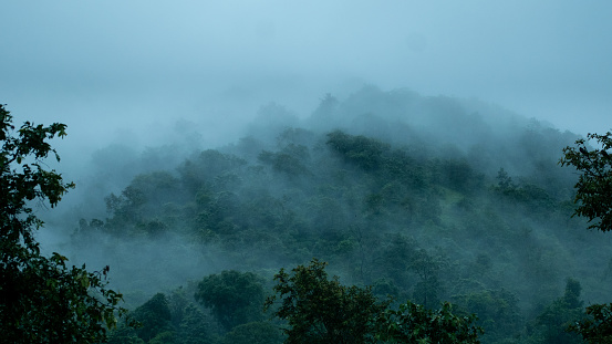 Misty foggy mountain landscape with forest trees at Saputara, Gujarat, India during monsoon season