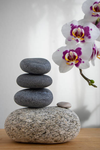 pilha de pedras cinzas construídas em torre isolada em fundo branco com flor de orquídea roxa branca em haste longa - stack rock stack stacking spa treatment - fotografias e filmes do acervo