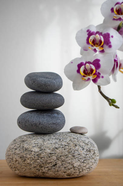 стопка серых камней, построенная в башн�е, изолированной на белом фоне с белым фиолетовым цветком орхидеи на длинном стебле - buddhism zen like orchid stone стоковые фото и изображения