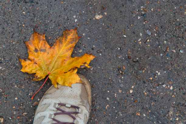 istock Autumn shoe sale. 1340313235