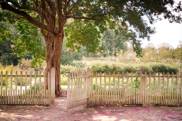 Photo of garden scene with gate on white picket fence