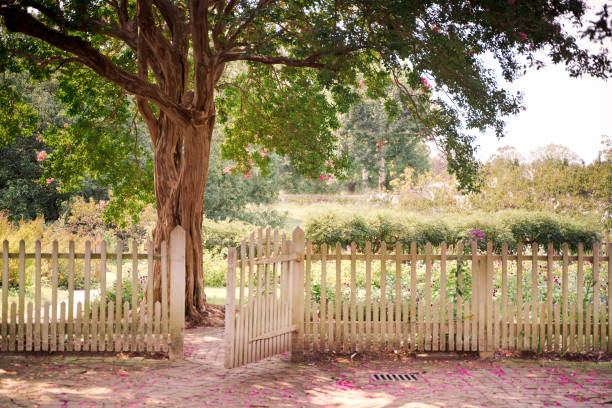 garden scene with gate on white picket fence - charming imagens e fotografias de stock