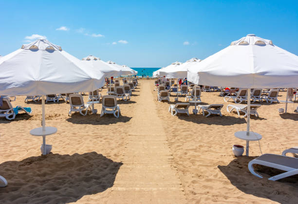 istock Sunbeds and umbrellas on a sandy beach 1340329540