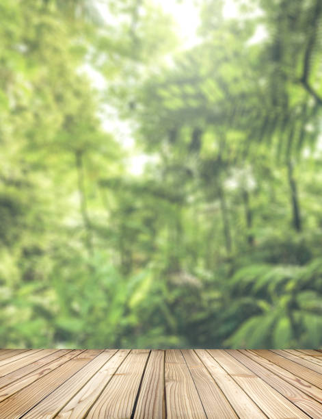 Empty rustic wood with rainforest background blurred. Ready for put your product display and shelf montage concept with copy space. Wooden stage for objects presentation.