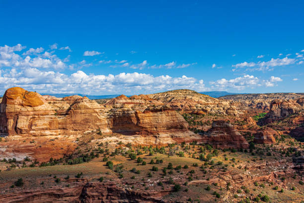 istock Red Sandstone along Highway 12 in Escalante National Monument 1340337468