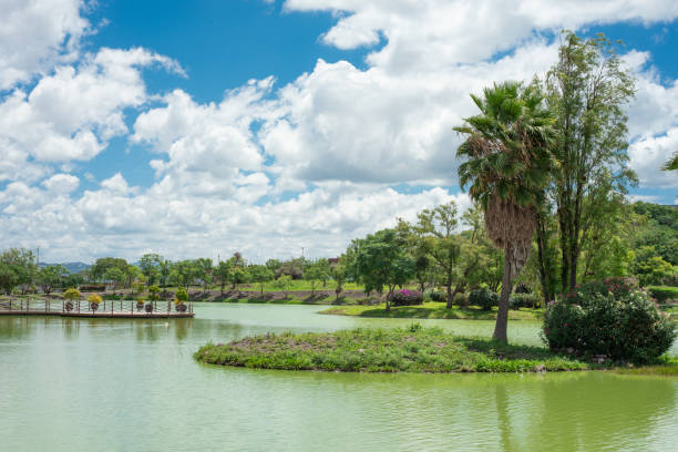 istock small island inside a lake with green trees in the background and a blue sky with clouds. 1340337524