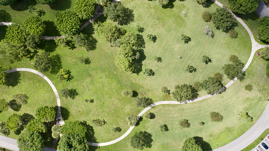 An aerial shot directly above the landscape of a park in Fort Lauderdale, Florida on a sunny day. It is a green landscape showing grass and trees from a drone point of view. The park is empty with paved footpaths.