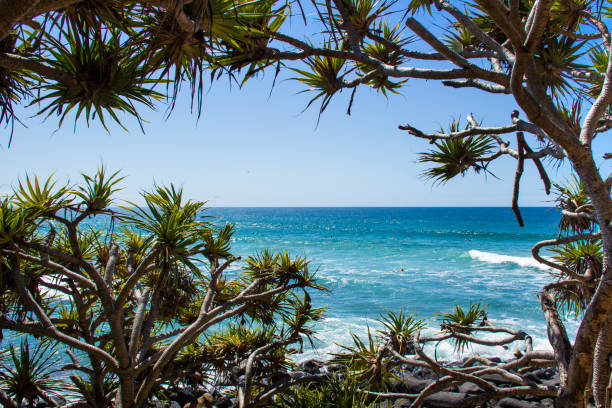 Amazing views from Burleigh Headland
