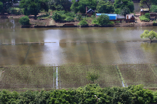 Stock photo showing result of monsoon rains with flooded and waterlogged farmland and countryside.