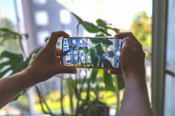 istock Taking a picture of a plant 1340349538
