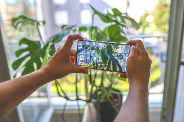 istock Taking a picture of a plant 1340350141