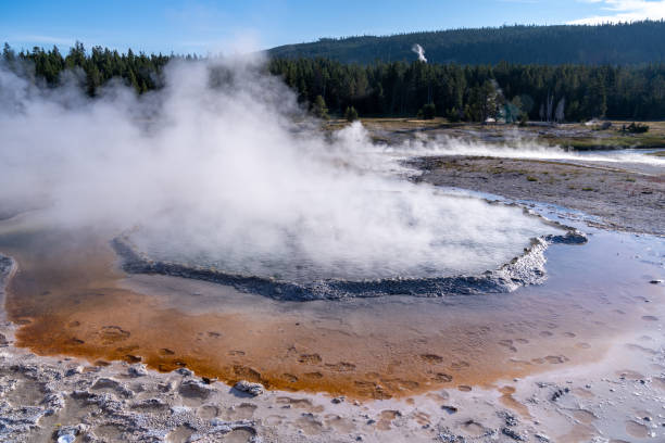 istock Crested Pool hot spring in Yellowstone National Park 1340353815